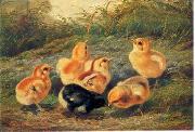 unknow artist chickens 196 oil painting on canvas